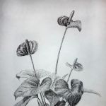 54